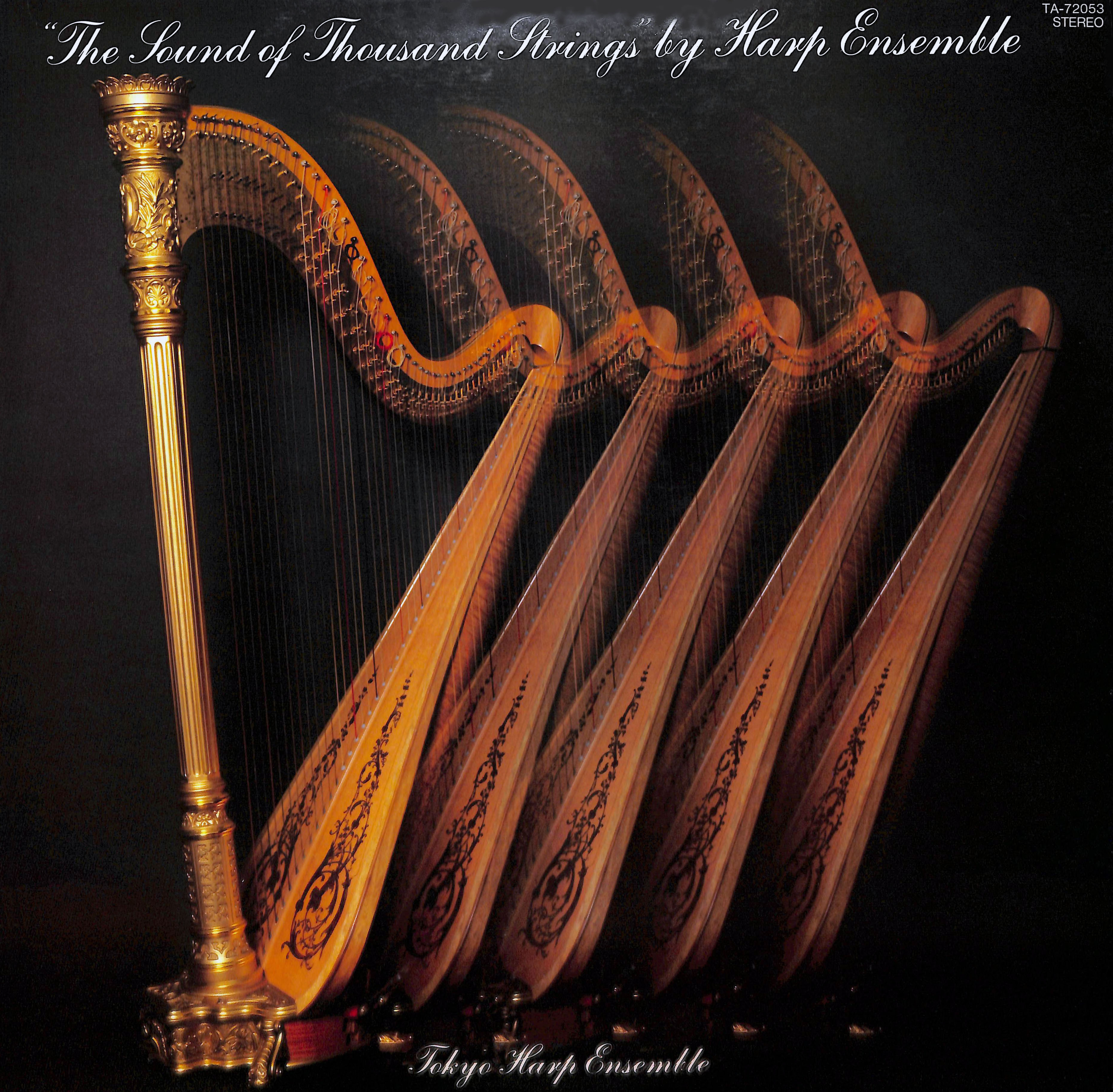 ハープ・アンサンブルのしらベ｜”THE SOUND OF THOUSANDS STRINGS” BY HARP ENSEMBLE | sight &  art digital archives